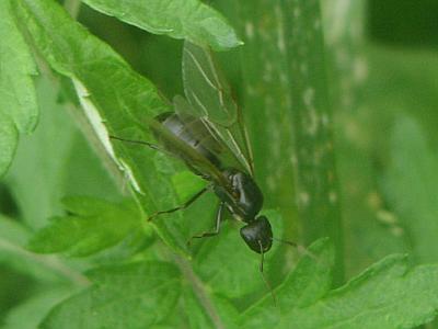 ありッ 季節の中で