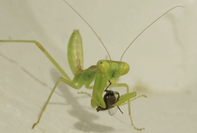 今日のビロカちゃんです。: 季節の中で・・・。